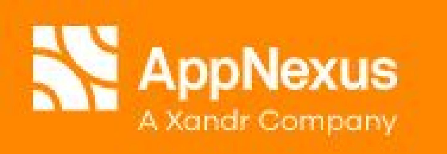 AppNexus Review